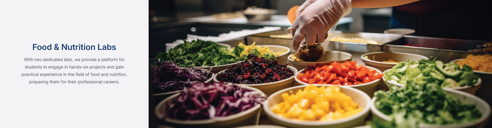 Food & Nutrition Labs